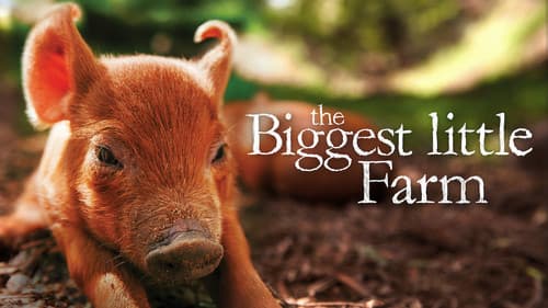 The Biggest Little Farm still
