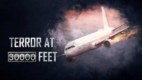 Terror at 30000 Feet still