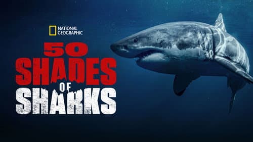 50 Shades of Sharks still