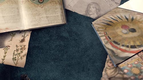 Harry Potter: A History Of Magic still