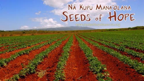 Seeds of Hope still