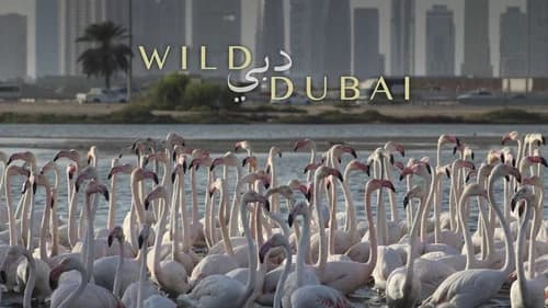 Wild Dubai still