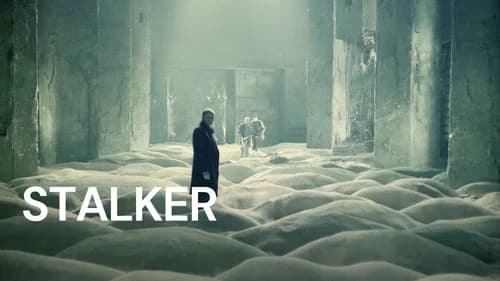 Stalker still