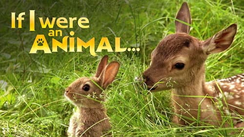 If I Were an Animal still