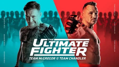 The Ultimate Fighter still