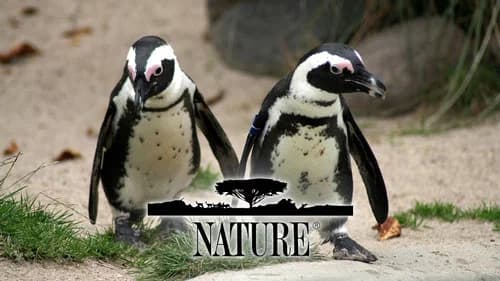 Nature still