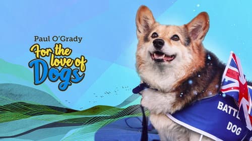 For the Love of Dogs still