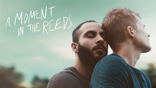 A Moment in the Reeds still