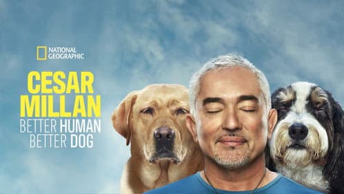 Cesar Millan: Better Human, Better Dog still