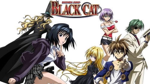 Black Cat still