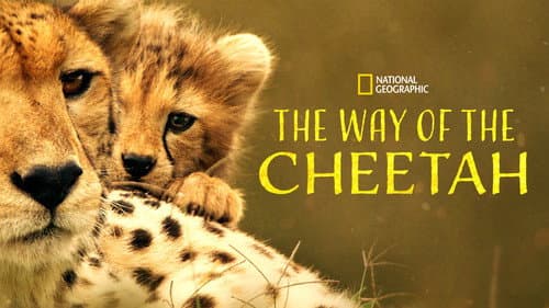 The Way of the Cheetah still
