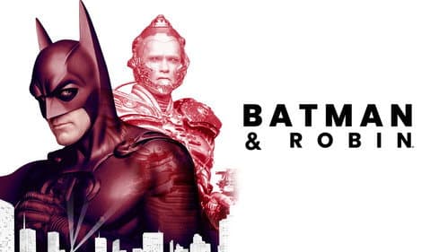 Batman & Robin still