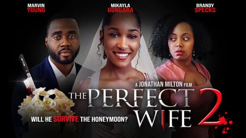 The Perfect Wife 2 still