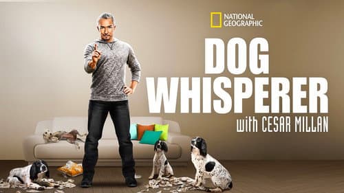 Dog Whisperer still