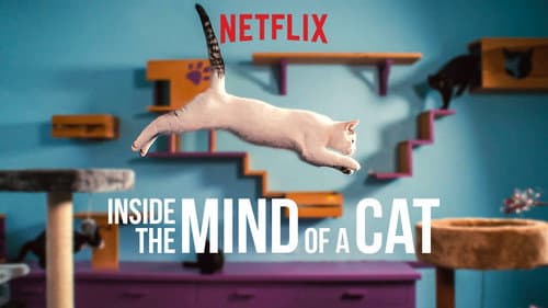 Inside the Mind of a Cat still