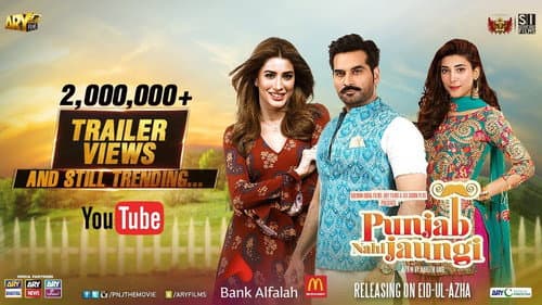 Punjab Nahi Jaungi still