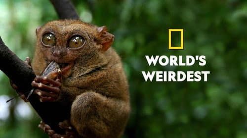 World's Weirdest still