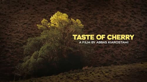 Taste of Cherry still