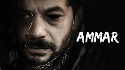 Ammar still