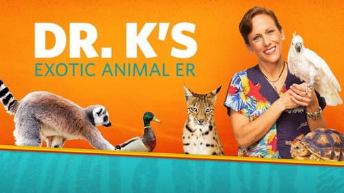 Dr. K's Exotic Animal ER still