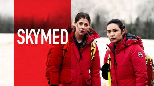 SkyMed still