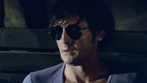 A Dog Called... Vengeance still