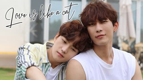Love Is Like A Cat still