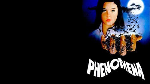 Phenomena still