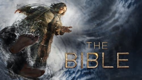 The Bible still