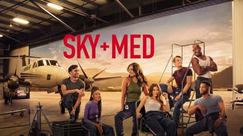 SkyMed still