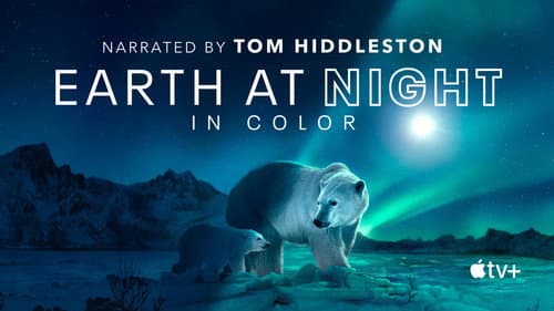 Earth at Night in Colour still