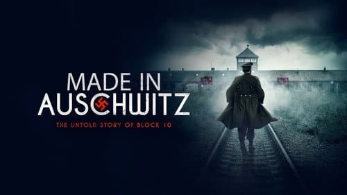 Made in Auschwitz: The Untold Story of Block 10 still