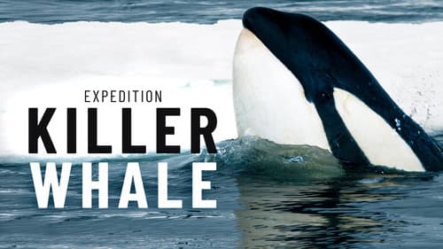 Expedition Killer Whale still