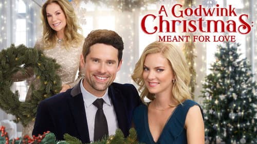 A Godwink Christmas: Meant For Love still