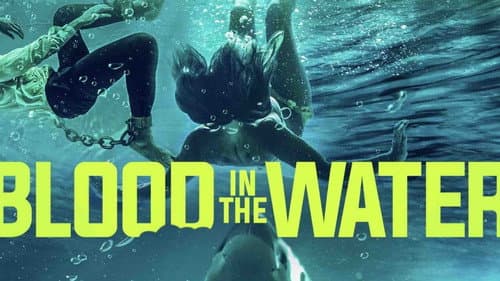 Blood in the Water still