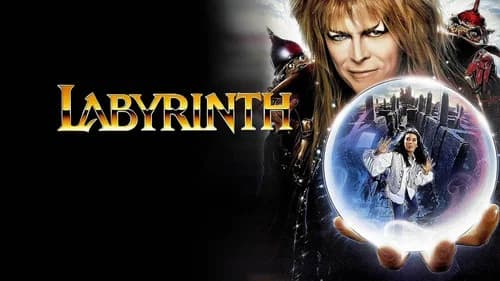 Labyrinth still
