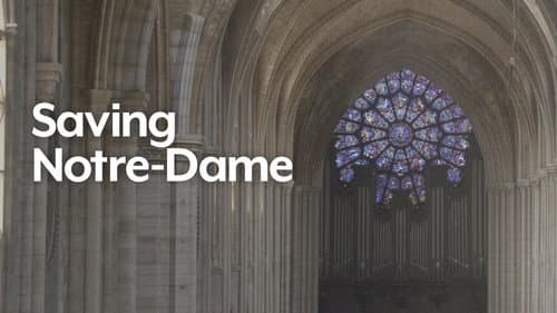 Saving Notre Dame still