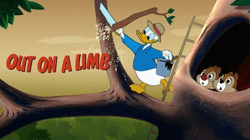 Out on a Limb still