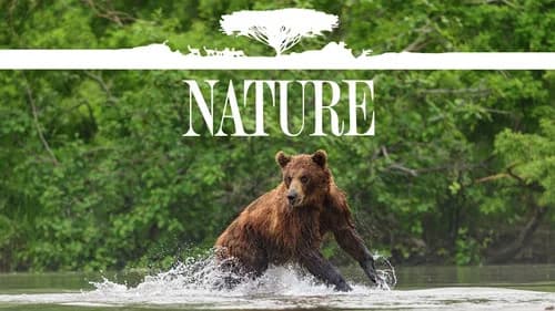 Nature still