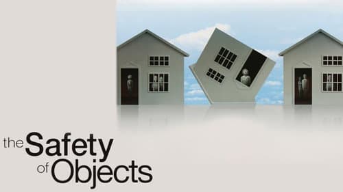 The Safety of Objects still