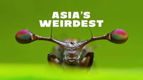 Asia's Weirdest still