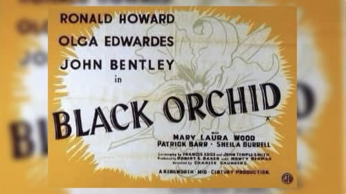 Black Orchid still