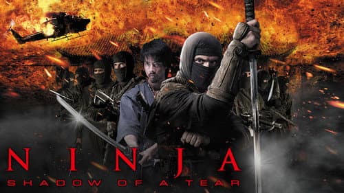 Ninja: Shadow of a Tear still