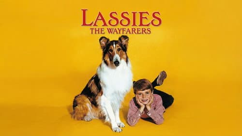 Lassie: The Wayfarers still