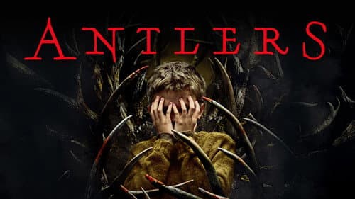 Antlers still