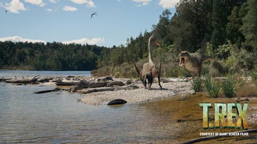 T. REX still