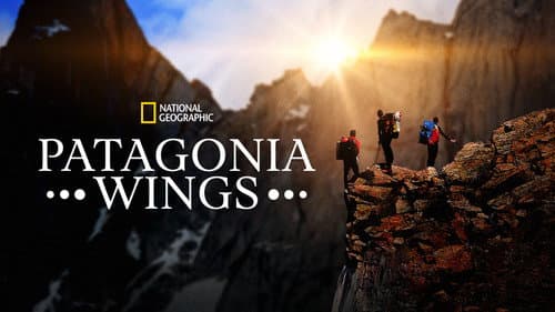 Patagonia Wings still