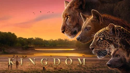Kingdom still