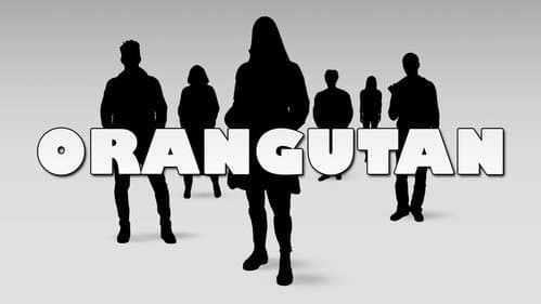 Orangutan still