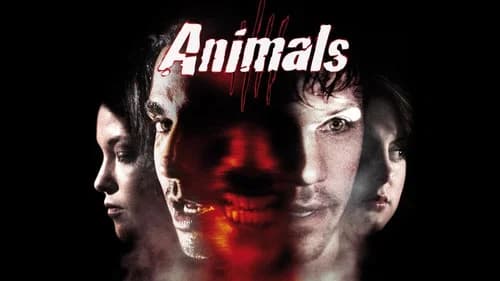 Animals still